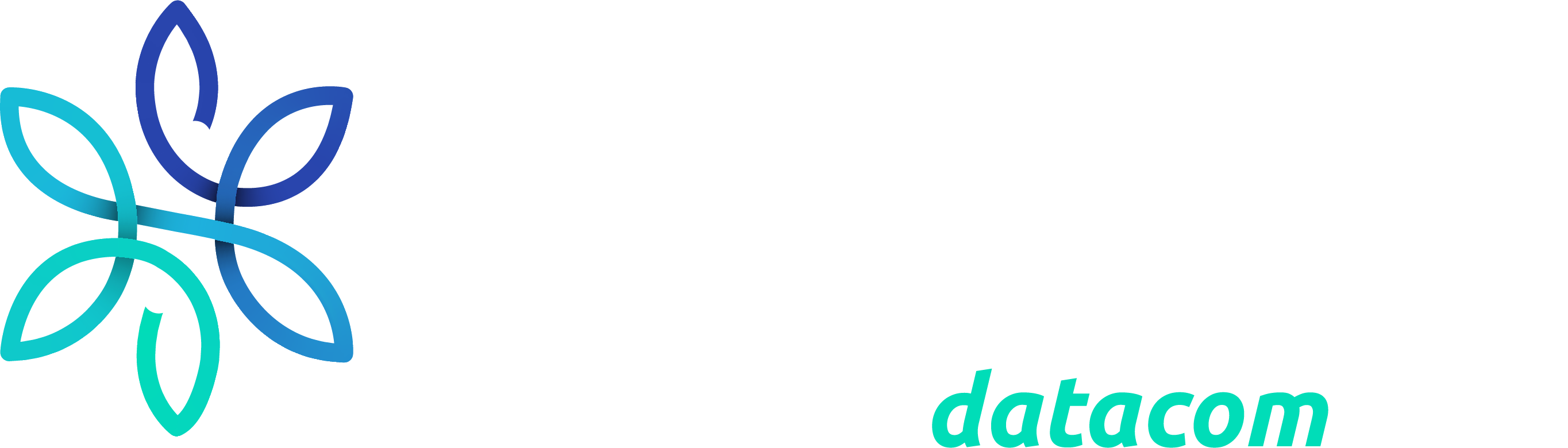Millrose Datacom logo